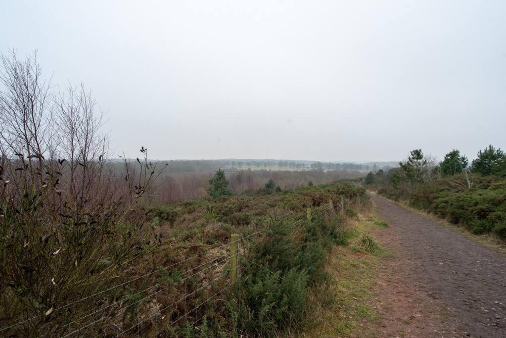 Sherwood Pines - Big Garden! Holiday home *